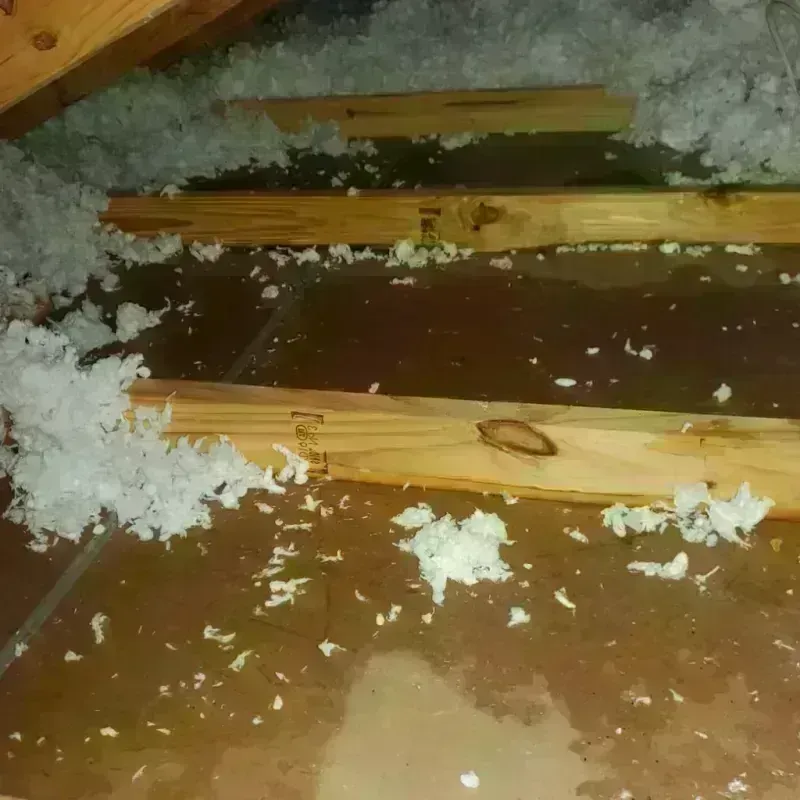 Attic Water Damage in Chelsea, MI